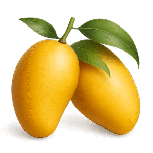 Premium Sindhri Mangoes – King of Early Season Mangoes